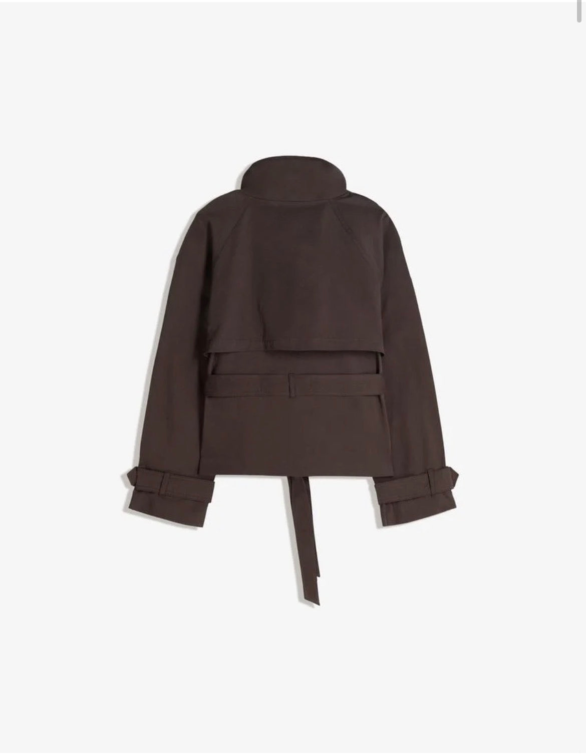 Manteau Céléste